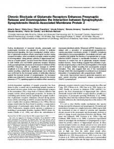 Chronic Blockade of Glutamate Receptors ... - Semantic Scholar