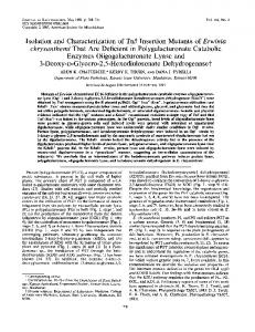 chrysanthemi That Are Deficient in Polygalacturonate Catabolic