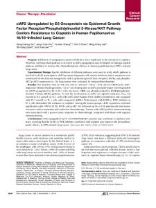 cIAP2 Upregulated by E6 Oncoprotein via Epidermal Growth Factor ...