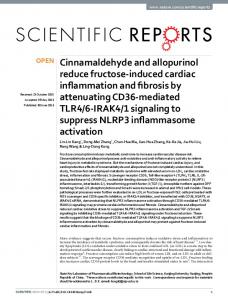 Cinnamaldehyde and allopurinol reduce fructose ... - Semantic Scholar