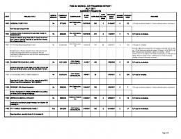 CIP PROGRESS REPORT