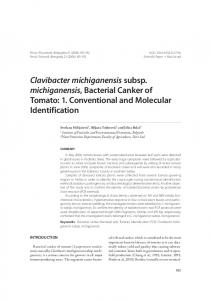 Clavibacter michiganensis subsp. michiganensis, Bacterial Canker of ...