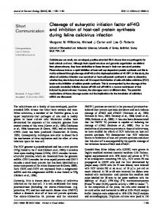 Cleavage of eukaryotic initiation factor eIF4G and ... - CiteSeerX