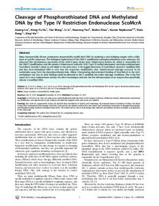 Cleavage of Phosphorothioated DNA and