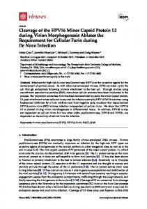 Cleavage of the HPV16 Minor Capsid Protein L2 ... - Semantic Scholar