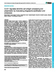 CLIC1 regulates dendritic cell antigen processing and ... - Biology Open