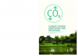 Climate change adaptation and mitigation