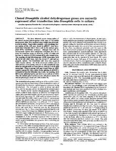 Cloned Drosophila alcohol dehydrogenase genes ... - Semantic Scholar