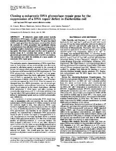 Cloning a eukaryotic DNA glycosylase repair gene by the ...