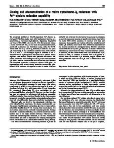 Cloning and characterization of a maize cytochrome-b5 reductase with