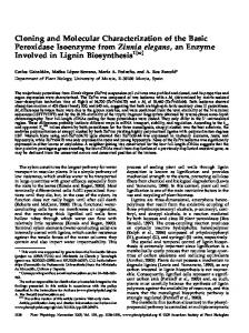 Cloning and Molecular Characterization of the ... - Plant Physiology