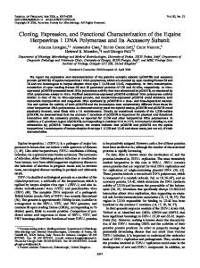 Cloning, Expression, and Functional ... - Journal of Virology