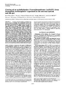 Cloning of an arylalkylamine N-acetyltransferase (aaNATI) from ...