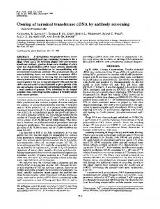 Cloning of terminal transferase cDNA by antibody ... - Europe PMC