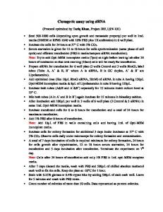 Clonogenic assay using siRNA