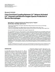 Close Functional Coupling Between Ca2+