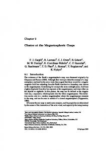 Cluster at the Magnetospheric Cusps