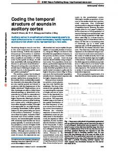 Coding the temporal structure of sounds in auditory cortex