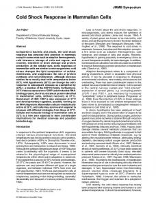 Cold Shock Response in Mammalian Cells - CiteSeerX