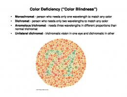 Color Blindness/ Depth Perception