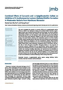 Combined Effects of Curcumin and