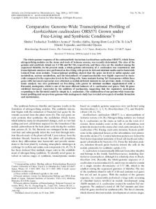 Comparative Genome-Wide Transcriptional Profiling of Azorhizobium ...