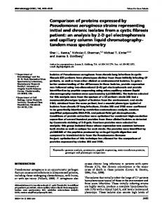 Comparison of proteins expressed by Pseudomonas aeruginosa ...