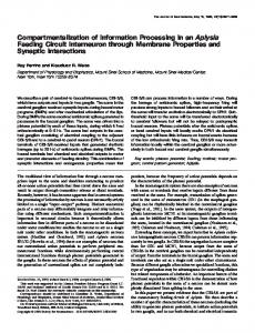 Compartmentalization of Information Processing in ... - Semantic Scholar