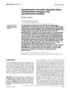 Complementary chromatic adaptation alters ... - CiteSeerX