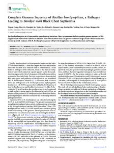 Complete Genome Sequence of Bacillus