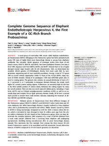 Complete Genome Sequence of Elephant