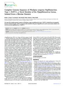 Complete Genome Sequence of Phodopus