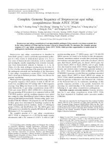 Complete Genome Sequence of Streptococcus equi subsp ...