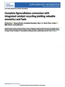 Complete lignocellulose conversion with integrated