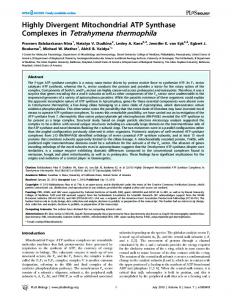 Complexes in Tetrahymena thermophila