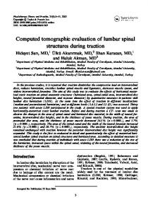 Computed tomographic evaluation of lumbar spinal structures during ...