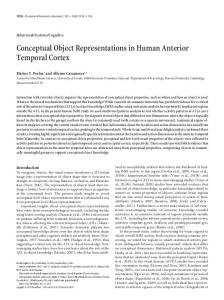 Conceptual Object Representations in Human ... - Harvard University