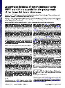 Concomitant deletions of tumor suppressor genes ... - Semantic Scholar