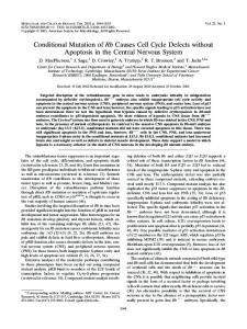 Conditional Mutation of Rb Causes Cell Cycle Defects without