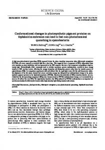 Conformational changes in photosynthetic pigment proteins on ...