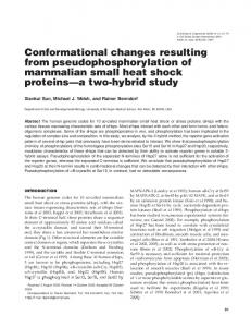 Conformational changes resulting from ... - BioOne