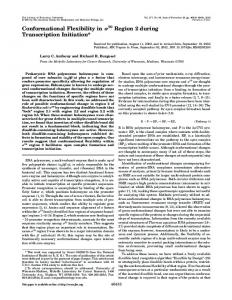 Conformational Flexibility in 70 Region 2 during Transcription Initiation*