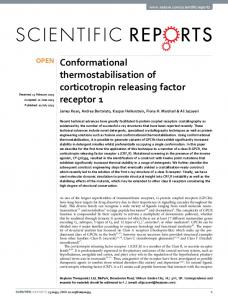 Conformational thermostabilisation of corticotropin