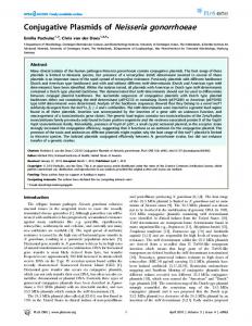 Conjugative Plasmids of Neisseria gonorrhoeae - PLOS