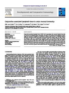 Conjunctiva-associated lymphoid tissue in avian ...