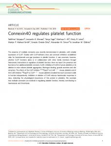 Connexin40 regulates platelet function - BioMedSearch