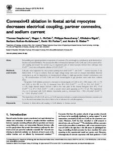 Connexin43 ablation in foetal atrial myocytes ... - Oxford Journals