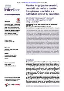 connexin45 ratio mediate a