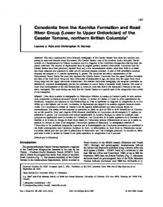 Conodonts from the Kechika Formation and Road River ... - CiteSeerX