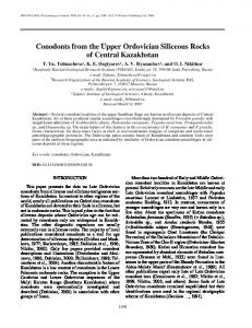 Conodonts from the Upper Ordovician Siliceous Rocks ... - Springer Link